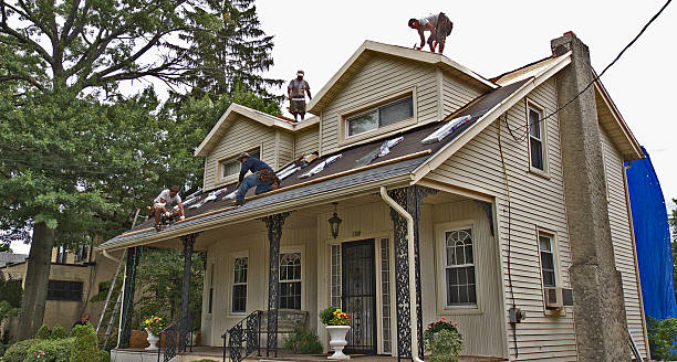 Best Roof Leak Repair  in Wamac, IL